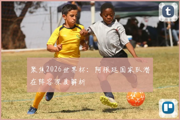 聚焦2026世界杯:阿根廷国家队潜在阵容深度解析