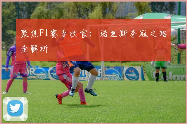 聚焦F1赛季收官：诺里斯夺冠之路全解析
