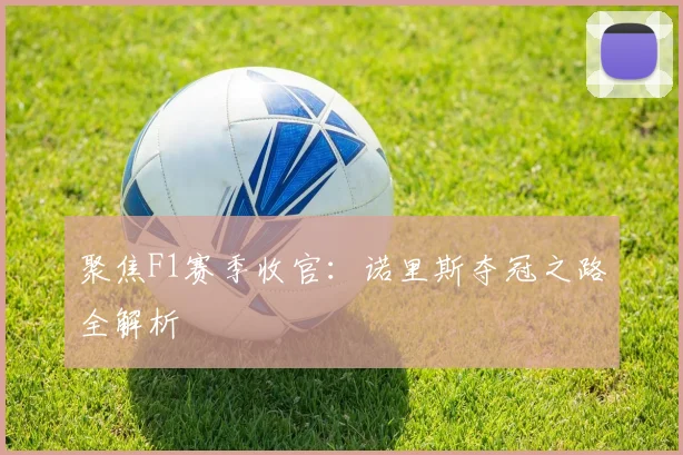 聚焦F1赛季收官：诺里斯夺冠之路全解析